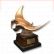 (Geheime Troph�e) Completed Morray eel series
