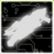 Raptor-Spezialist