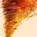 Tornado-T�ter