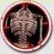 (Geheimer Erfolg) Anatomy Lesson