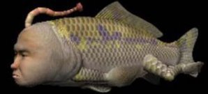 Widerworte aus dem Aquarium - die Beziehung mit einem Fischwesen