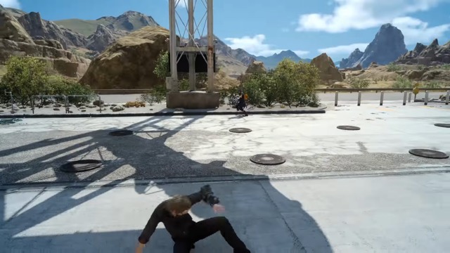 Noctis Kampf